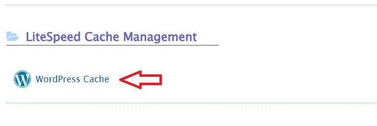 Wordpress LSCache